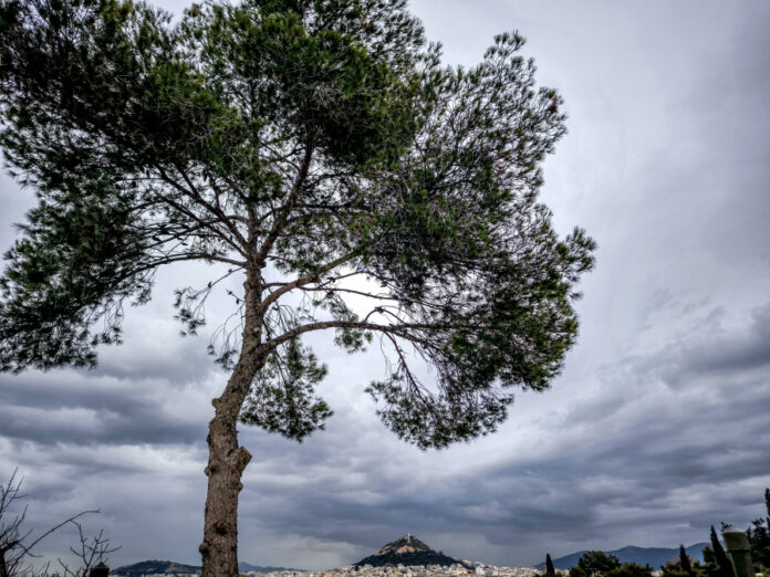 14f5820b265caee85fbcaacc2c06fd13 L