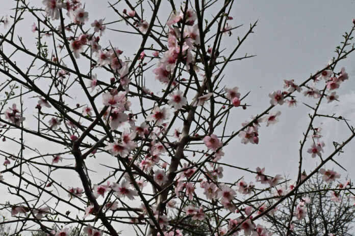 2721f47eadd3ab035cd27c7e4b2fc8f7 L