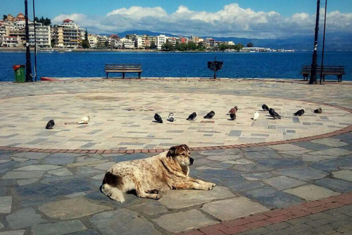 2a75a1a806565ad30a976e647f877102 L