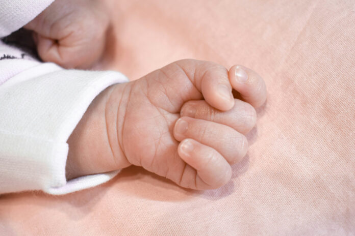 457f028e4172efda4146c24bf555709c L