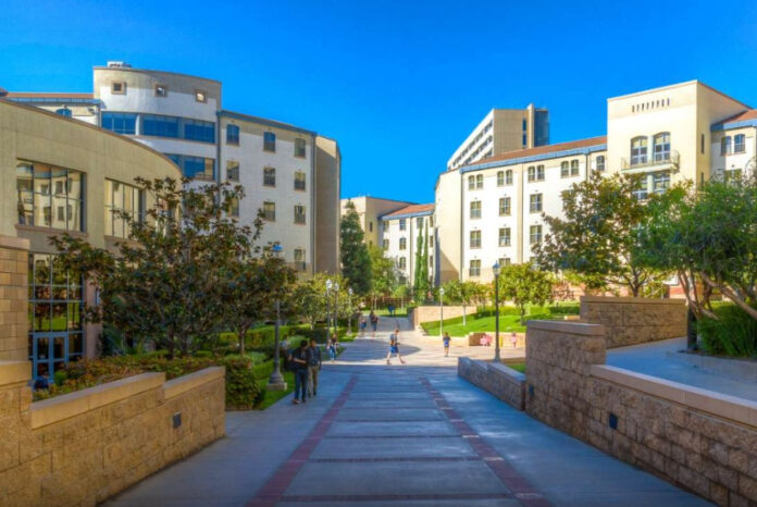 64184444c8b66eb687c2a260060bdcc0 L