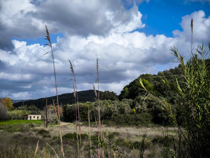 acebe69b65fe00ed9ddf4956ffa9f486 L