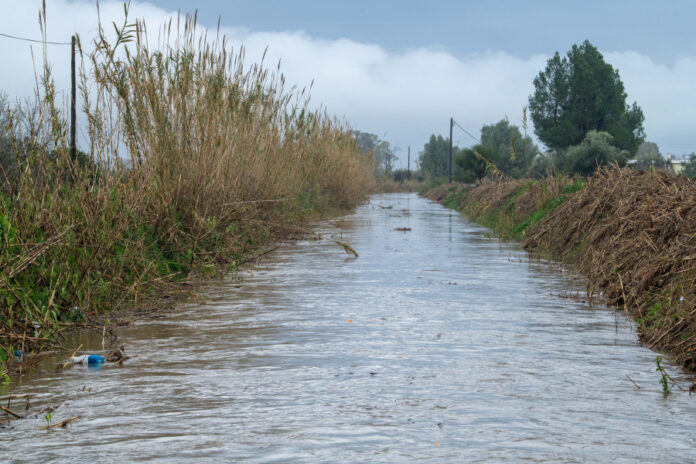 bef4da2a9b2961cc21d1817b23fedf8f L