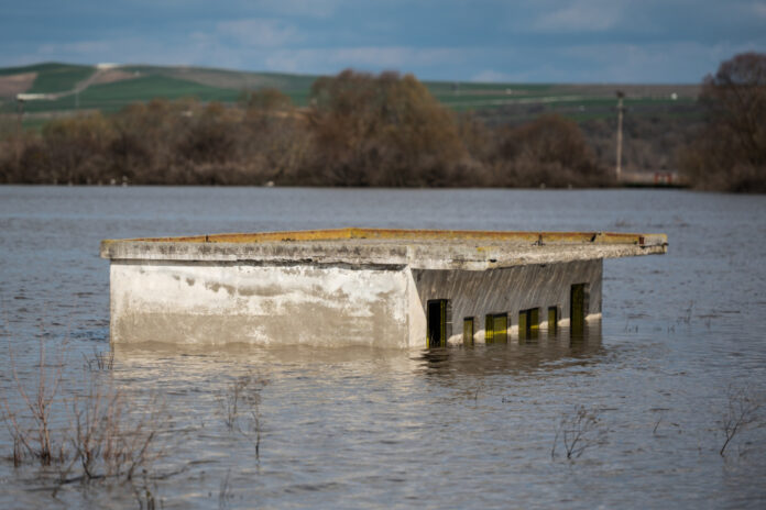 e4b882ebd573c3df8cf6e204f8c8bda7 L