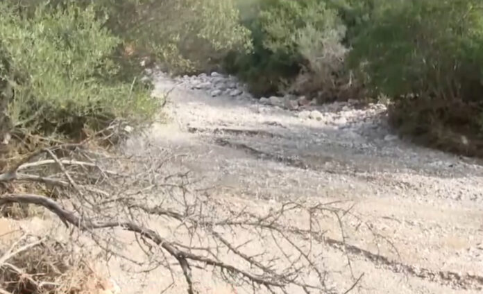 f51a45207f985b59576751ada8c6e5fb L