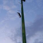 654306467_10239823913631642_1432878656467417490_n