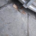 εικόνα_Viber_2026-04-03_09-32-33-474