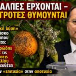 artinos.gr (10)
